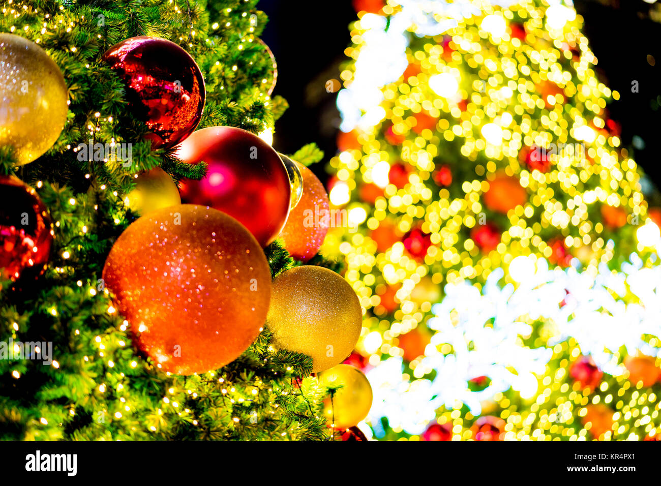 beautiful Blurred Christmas tree and festive bokeh lighting, blurred ...
