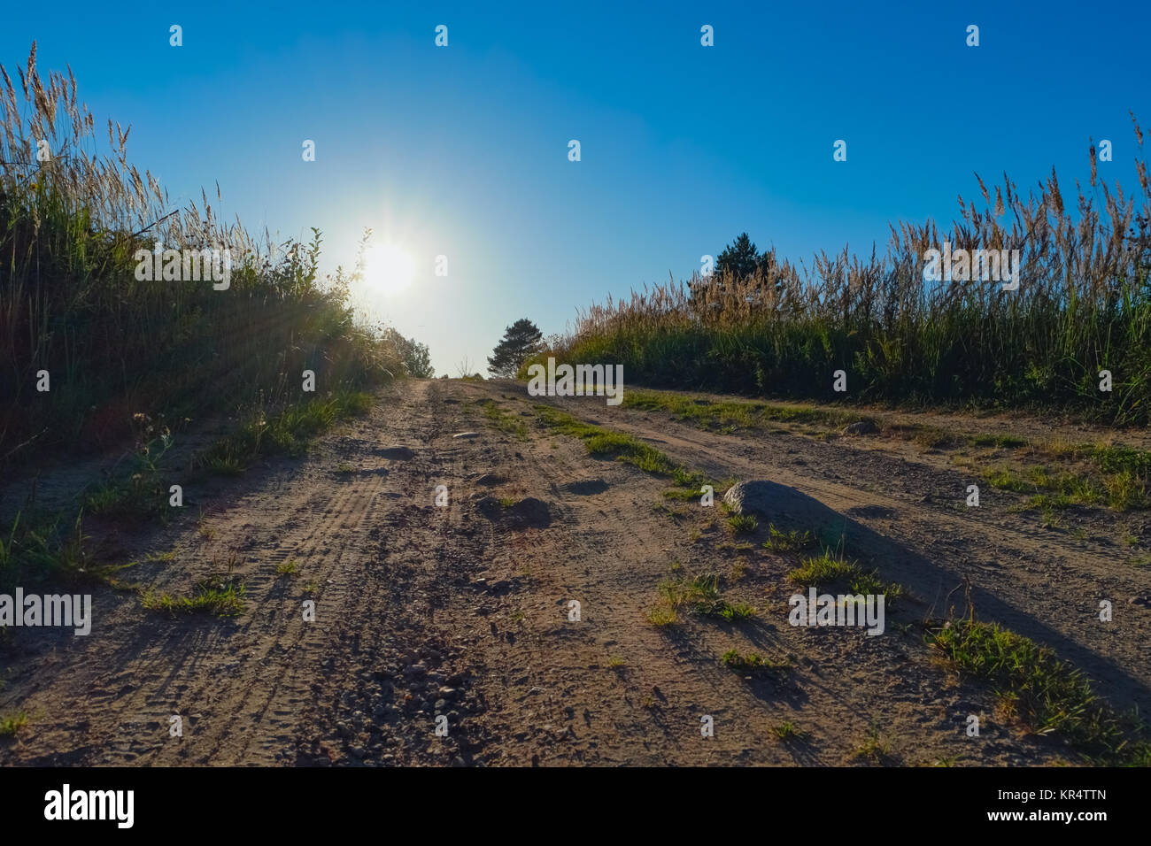 Country road and sunrise Stock Photo