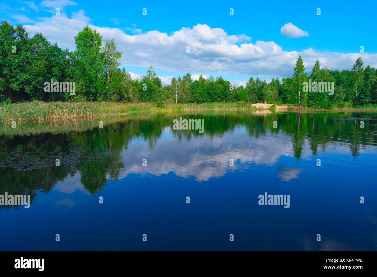 Forest lake and blue cloudy sky Stock Photo