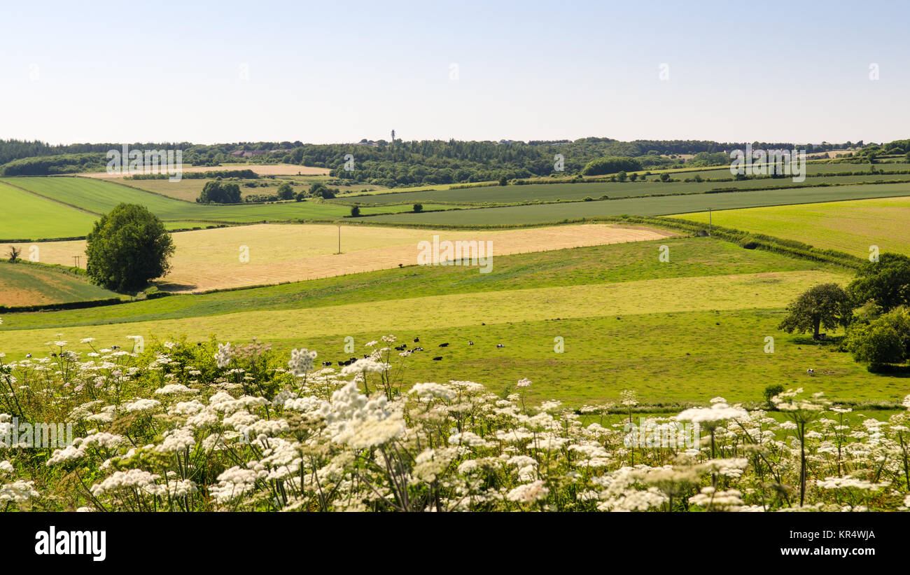 Agricultural fields and chalk downland around the sparsely populated Tarrant Valley in England's Dorset Downs hills. Stock Photo