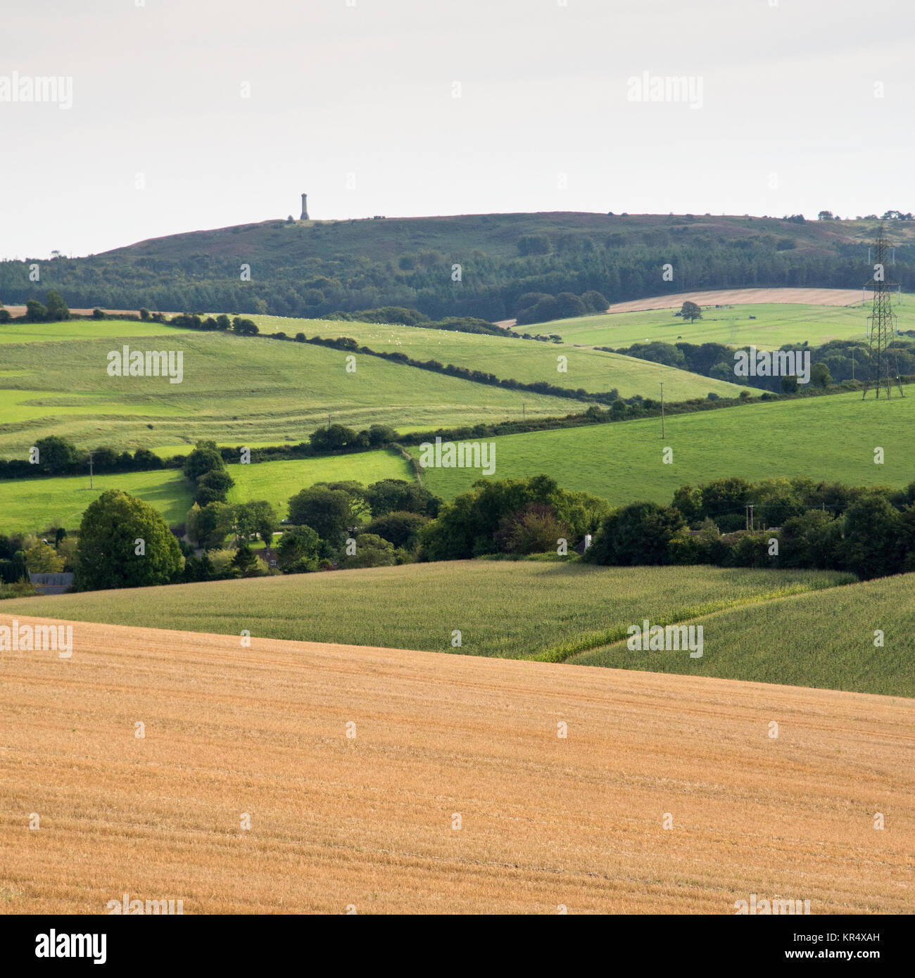 The monument to Captain Thomas Mastermain Hardy stands in woodland on Black Down above fields of pasture and crops in the the Winterbourne Abbas valle Stock Photo