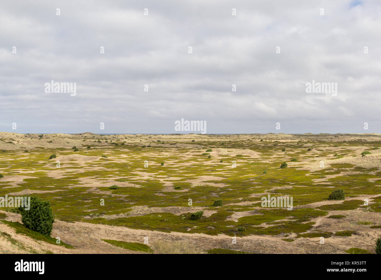 Flat landscape on the Danish island Anholt Stock Photo