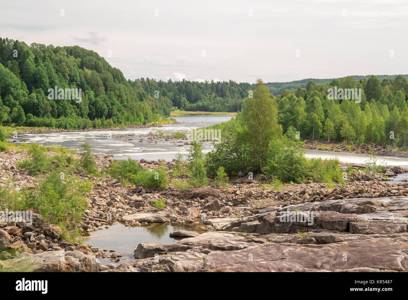 River with Forest and Cloudy Sky Stock Photo - Alamy