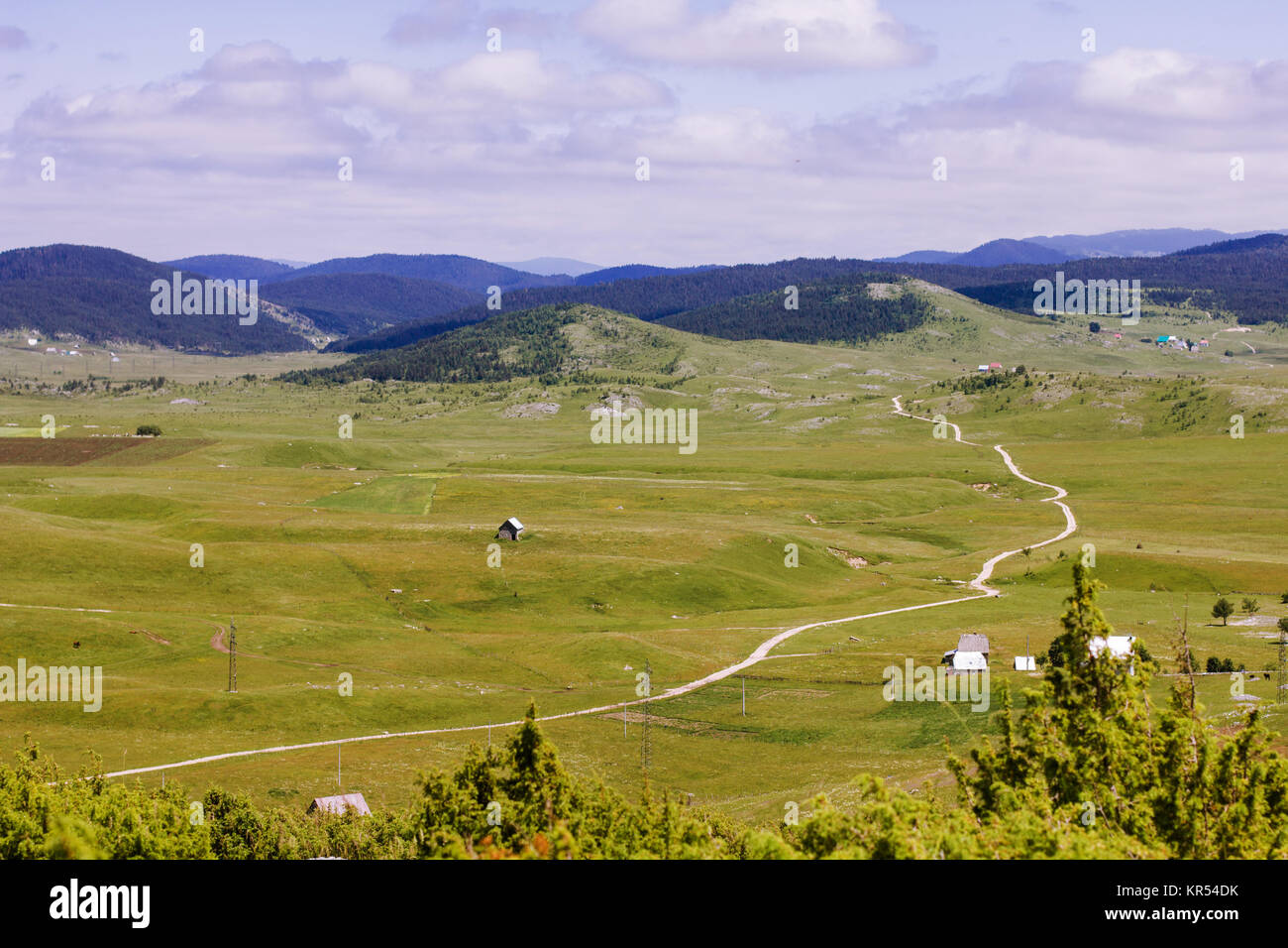 Rural Rgv Rural Road in Green Valley Nature Landscape Stock Photo - Alamy