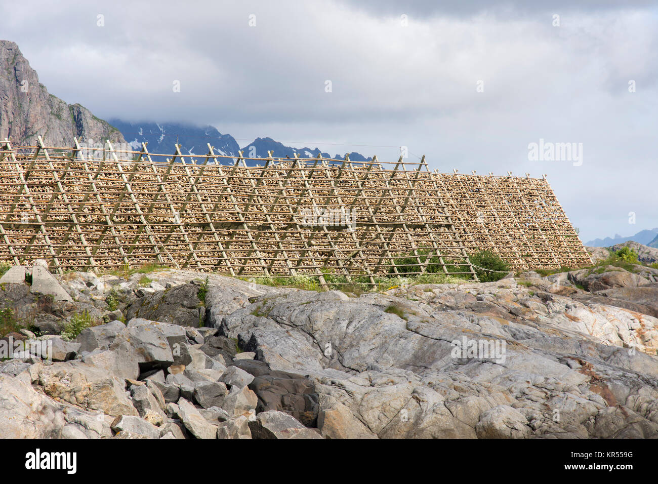 Drying racks fish svolvaer in hi-res stock photography and images - Alamy