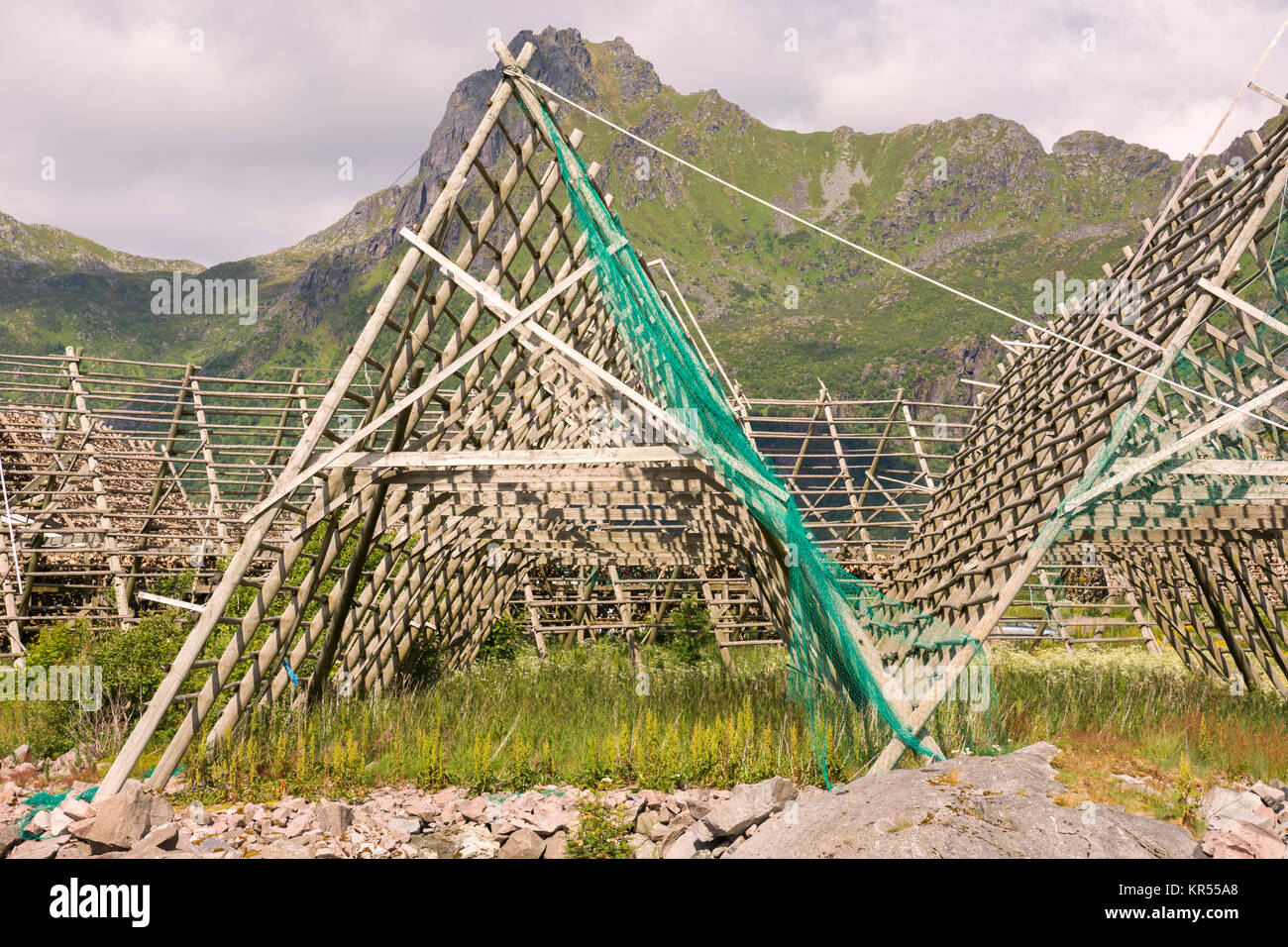 overview of racks for drying stockfish in Svolvaer at Lofoten in Norway ...
