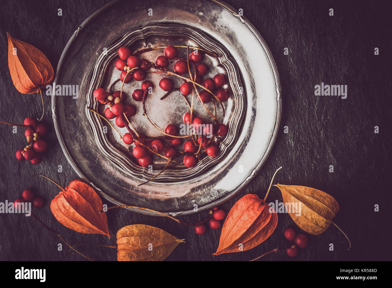 Red berries in the vintage metal plate with physalis horizontal Stock Photo