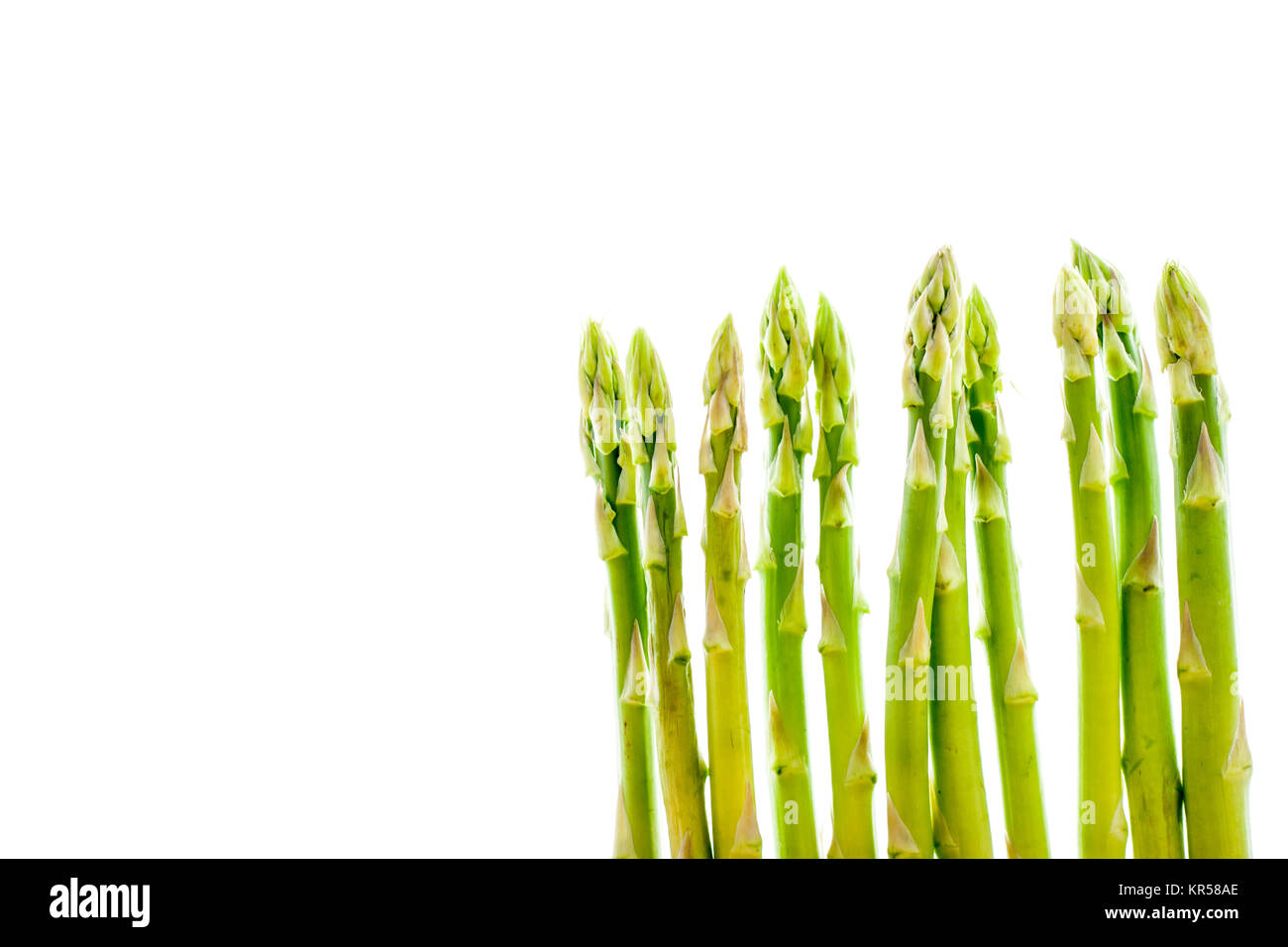Asparagus sprouts on the white background horizontal Stock Photo