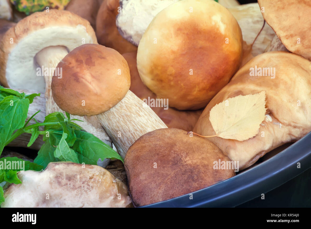 Mushrooms in a bucket in a forest glade. Stock Photo