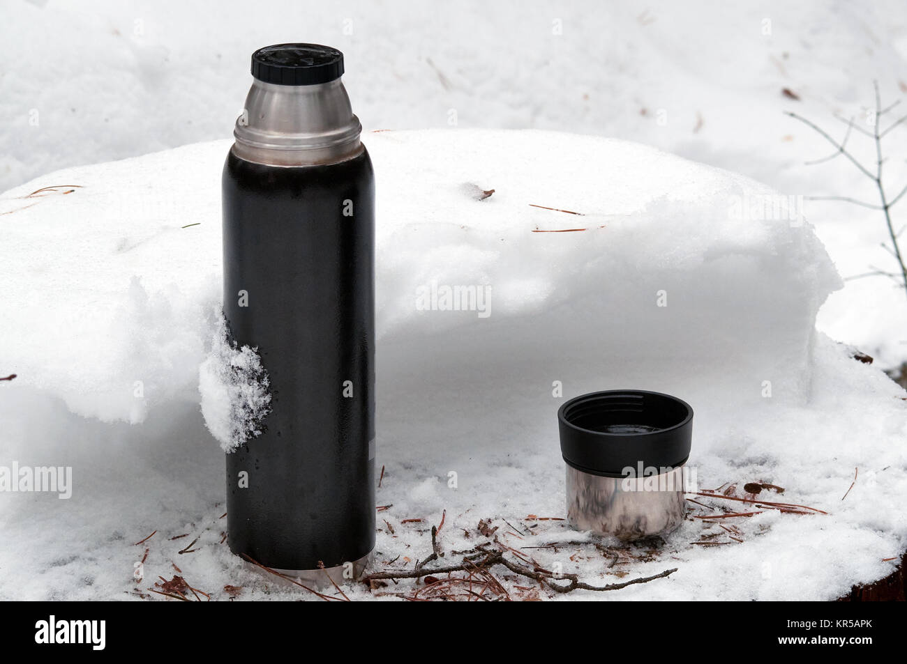 Steel Thermos With A Cup Of Hot Tee Standing On Old Stump In