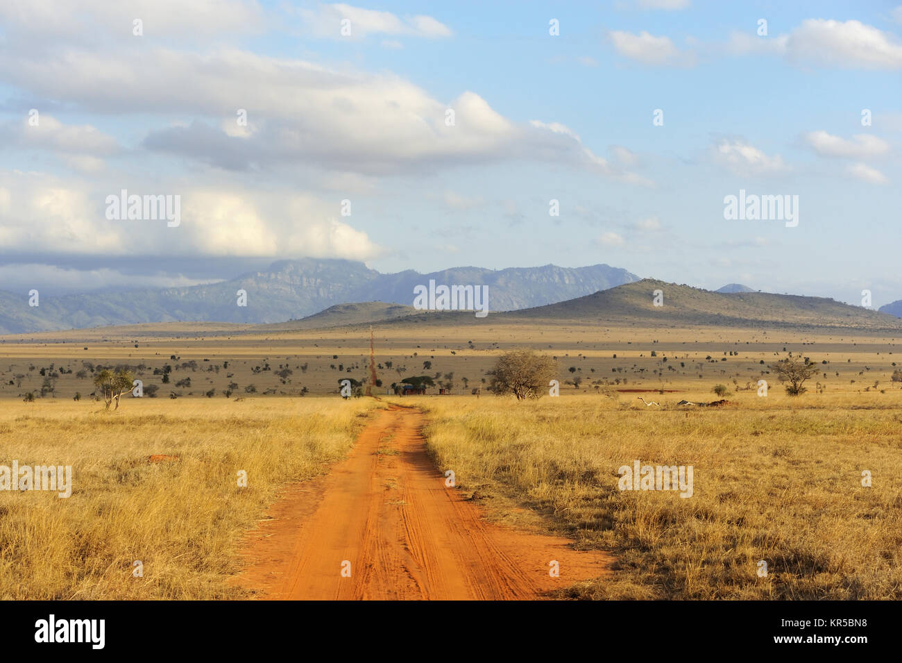 Savannah landscape in the National park in Kenya, Africa Stock Photo