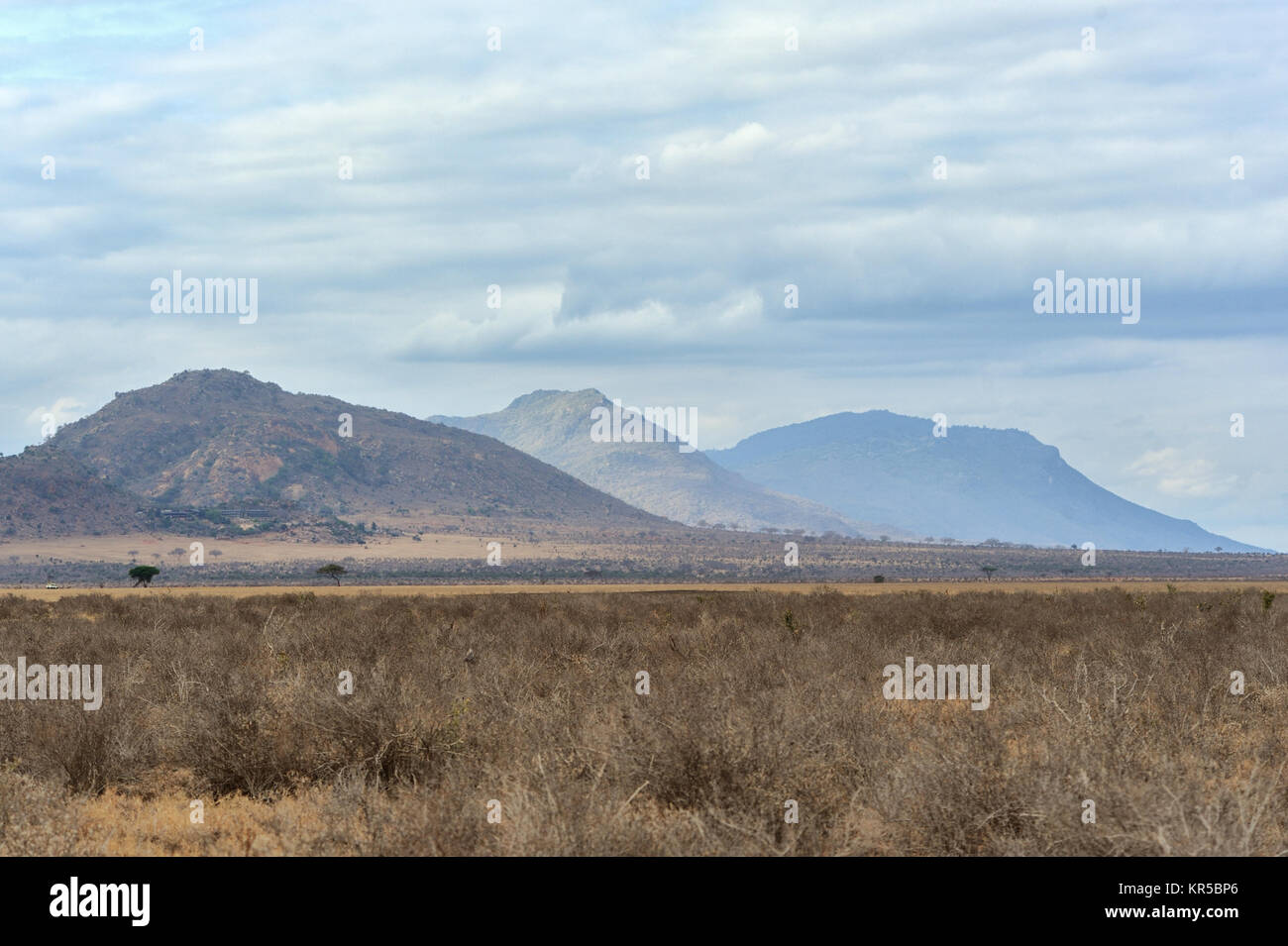 Landscape in Tsavo National Park, Kenya, Africa Stock Photo