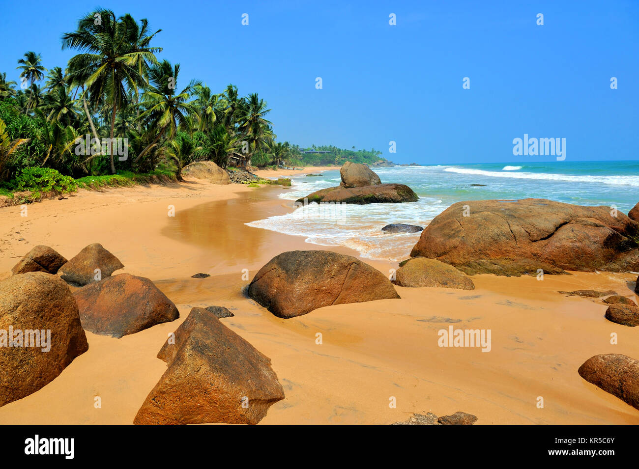 Tropical beach with palm in Sri Lanka Stock Photo - Alamy