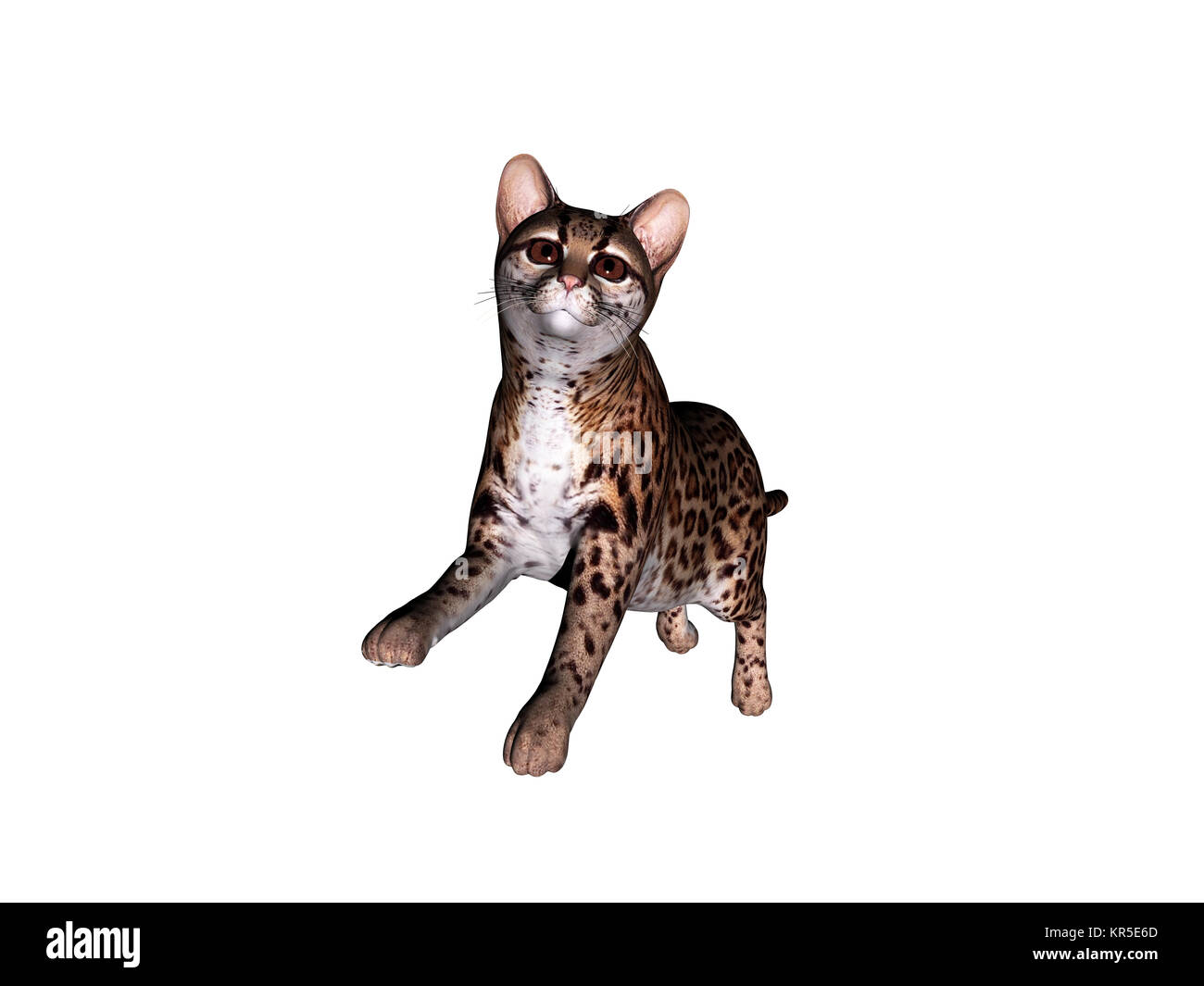 ocelot schleich cat isolated Stock Photo - Alamy