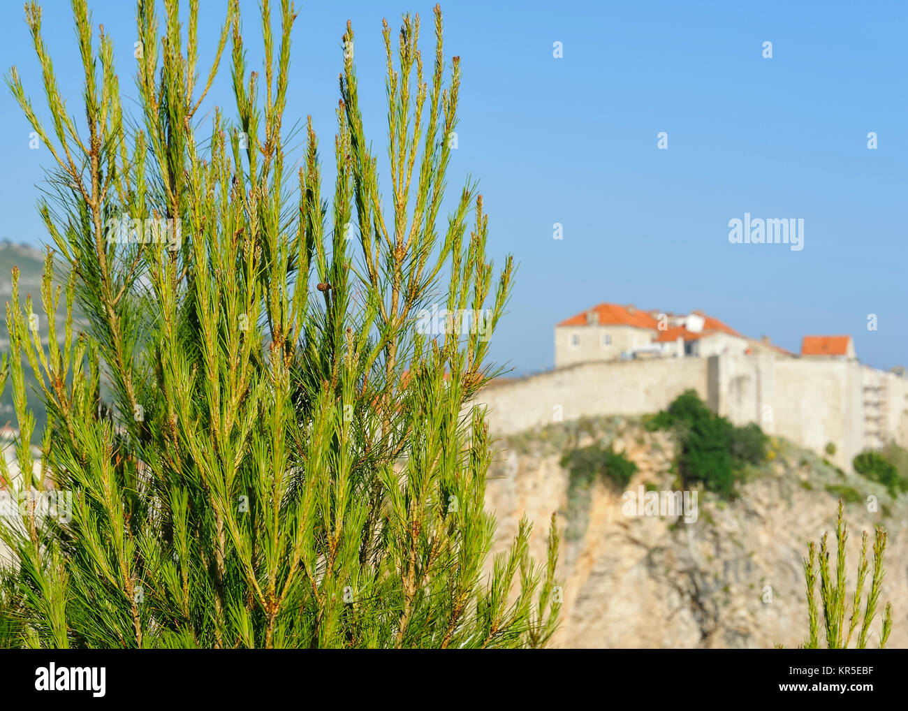 city wall of dubrovnik Stock Photo