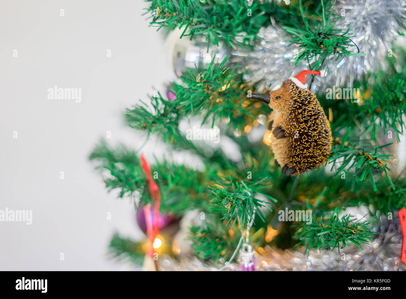 close up of hand holding Australian Christmas decoration in front of Christmas tree Stock Photo
