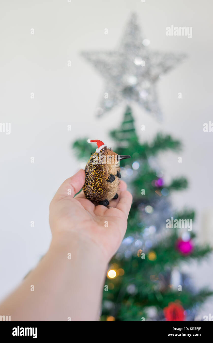 close up of hand holding Australian Christmas decoration in front of Christmas tree Stock Photo
