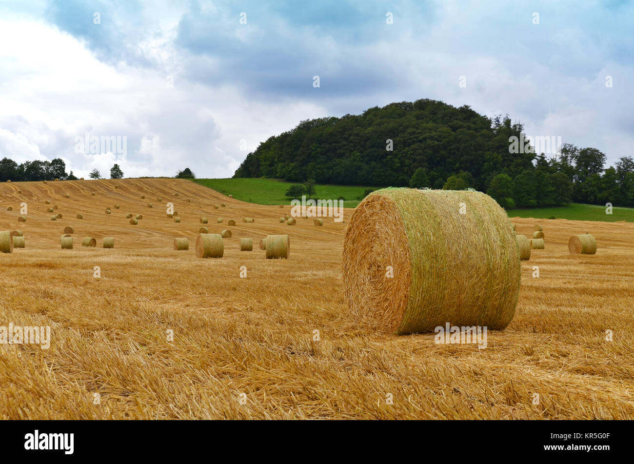 Straw ball farmer grain hi-res stock photography and images - Alamy
