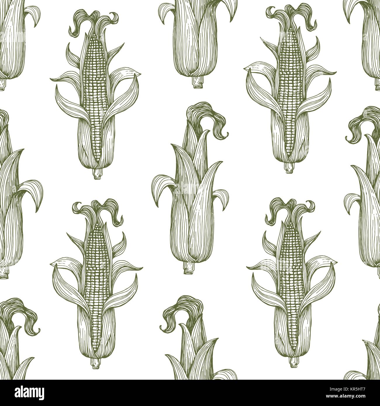 Vector seamless pattern with corn on the cob with leaves. Vintage ...