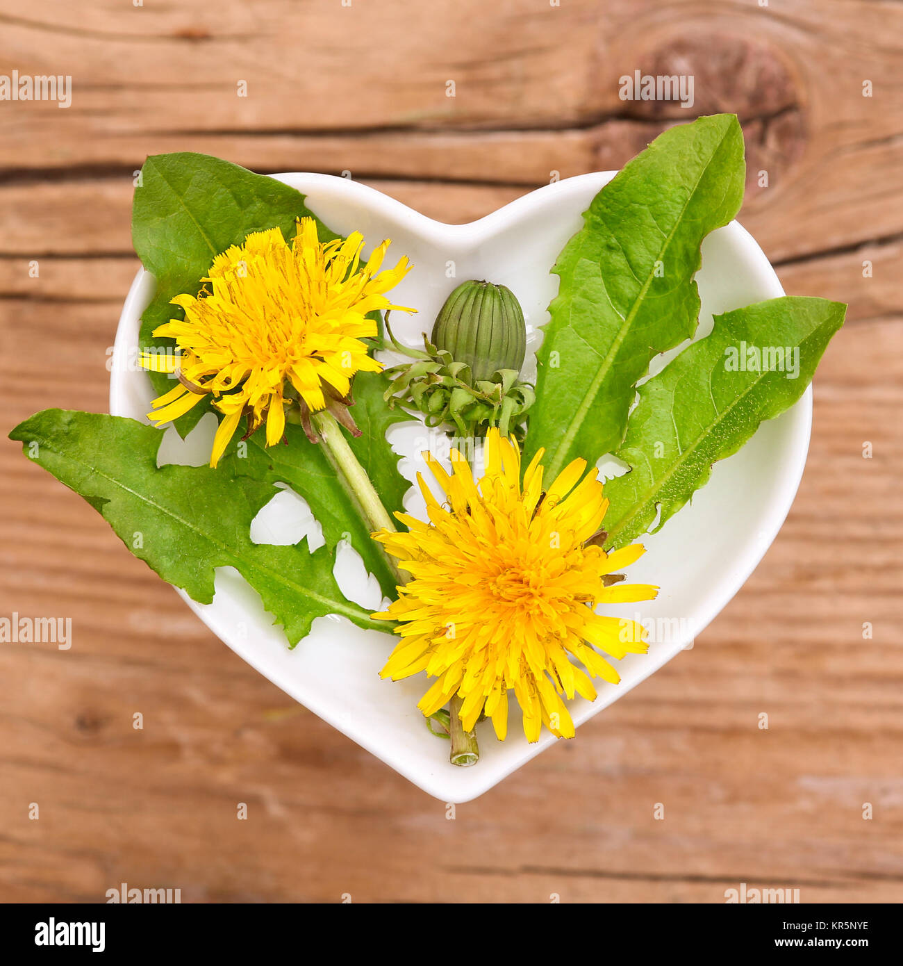 homeopathy and cooking with herbs,dandelions Stock Photo