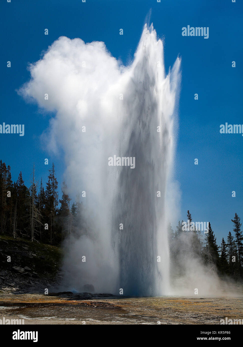 Old Faithful, Grand Geyser, JetShaped Geyser, Narrow Stream of Water