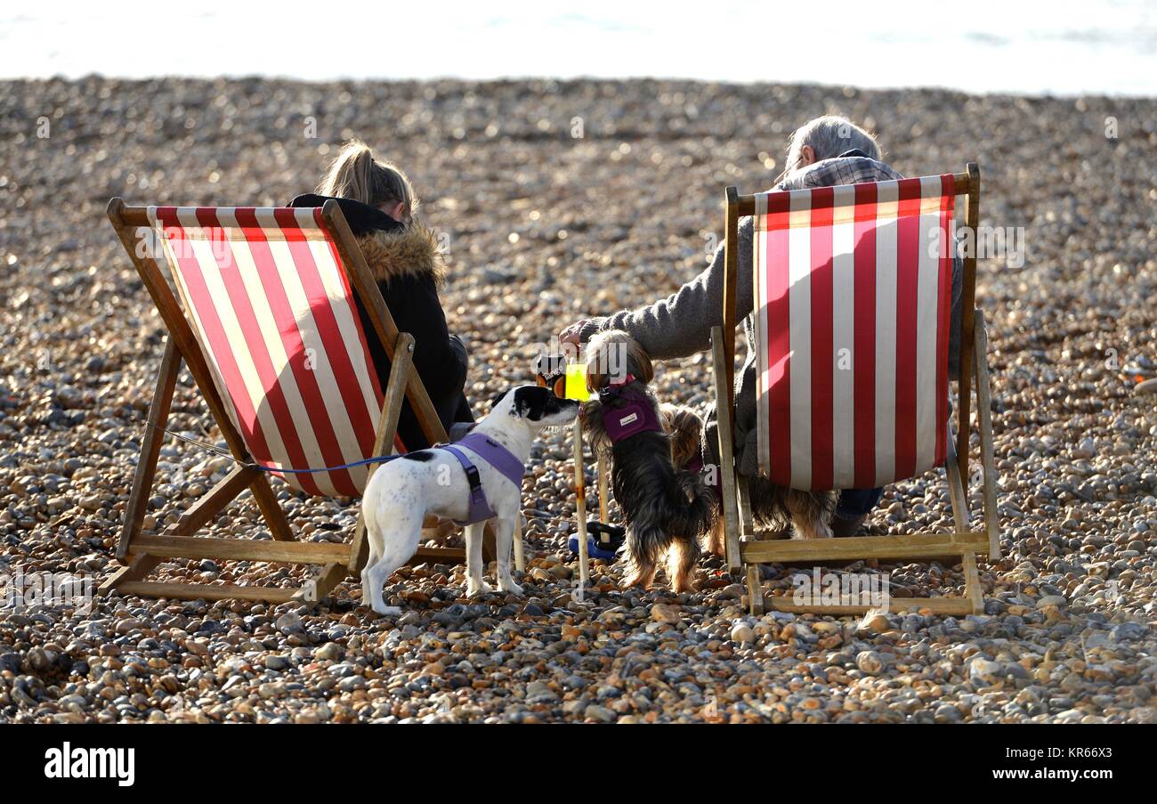 People enjoying rare winter sun on Seaford beach, UK Stock Photo