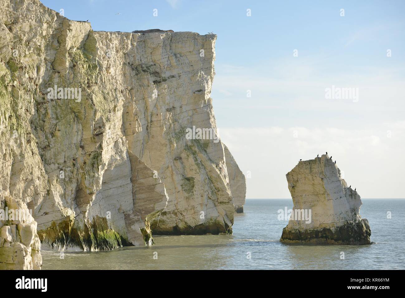 Seaford, East Sussex, UK. 19th Dec, 2017. Cormorants enjoying bright winter sunshine on sea rocks near Seaford beach, Eas Sussex. Credit: Peter Cripps/Alamy Live News Stock Photo