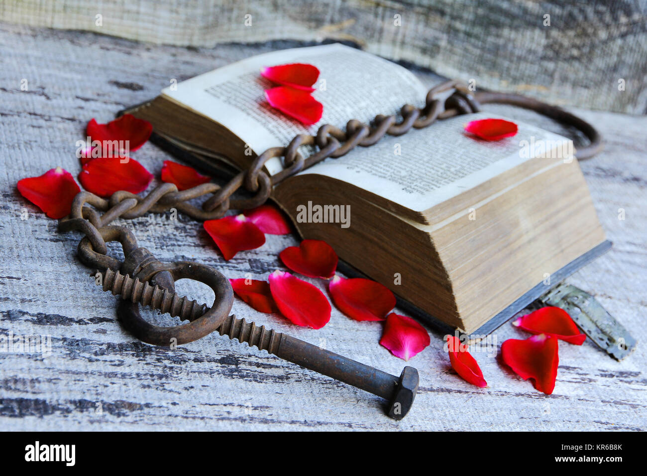 a captivating old love story of 1763. an ancient book with rose petals and chain Stock Photo