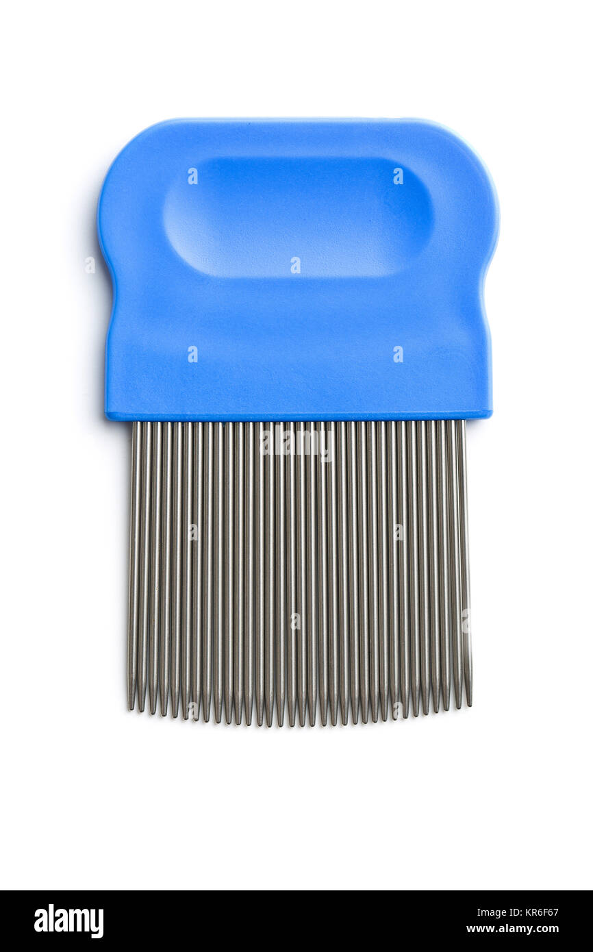 Comb for combing out lice. Stock Photo