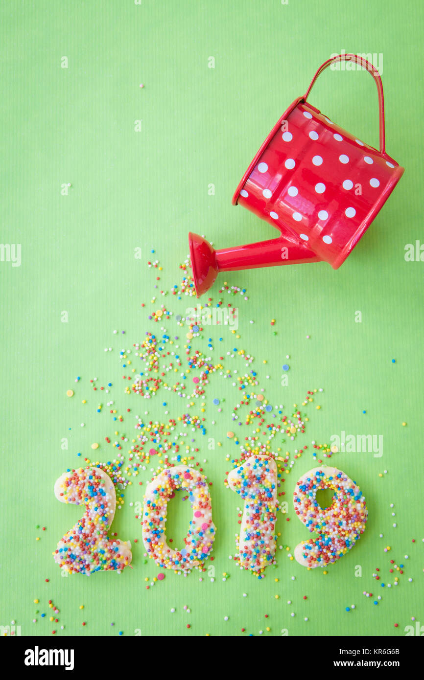 cookies for the new year 2019 Stock Photo