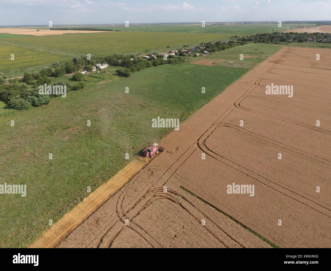 Cleaning wheat harvester Stock Photo Alamy