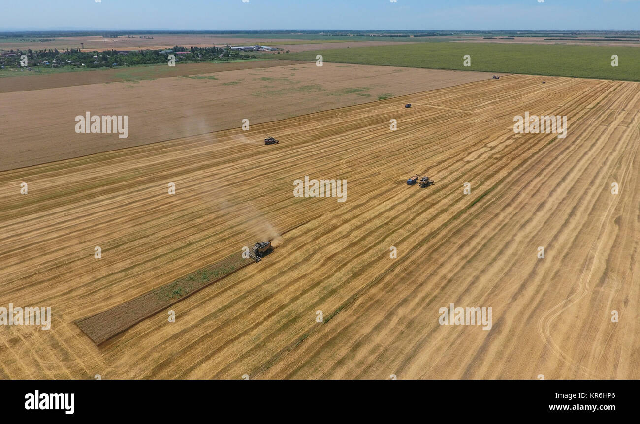 Cleaning wheat harvester Stock Photo Alamy