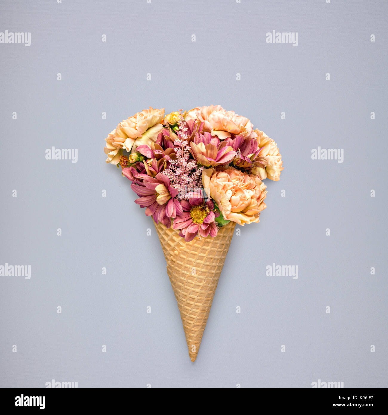 Flowers in cone Stock Photo Alamy