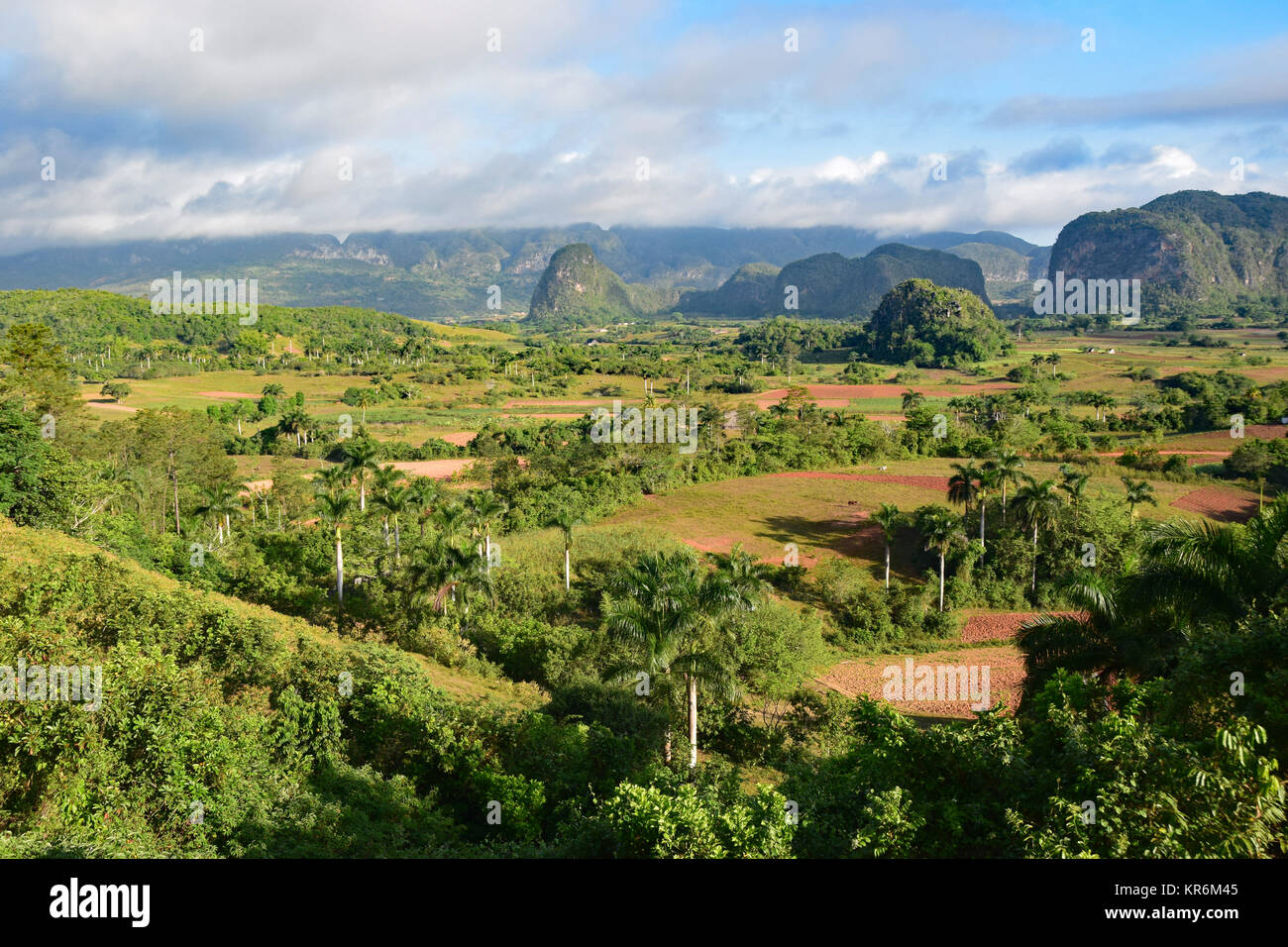 vinales valley in cuba Stock Photo