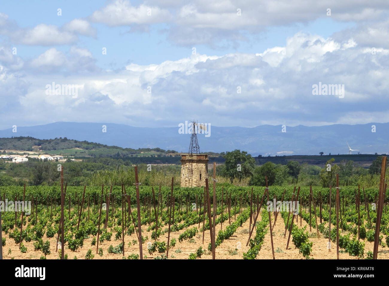 wine-growing region in southern france Stock Photo