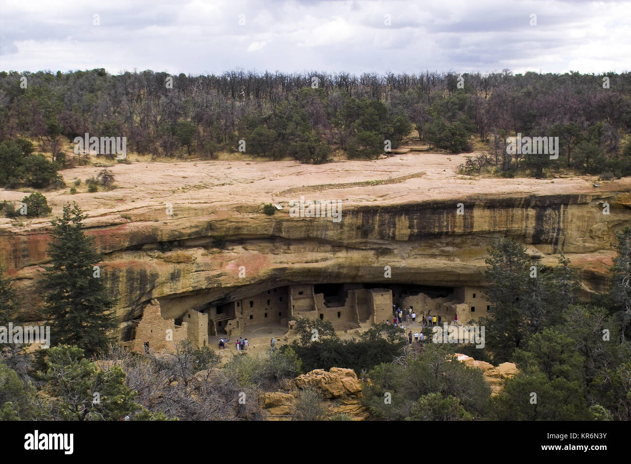 CLIFF PALACE , MESA VERDE NATIONAL PARK, COLORADO Stock Photo - Alamy
