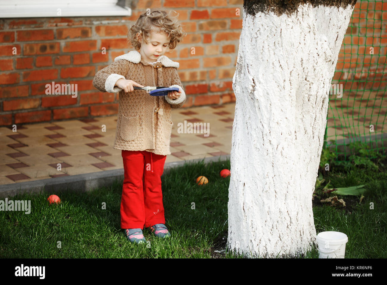 Little adorable blonde girl covering the tree with white paint to protect against rodents in the garden in the spring. Stock Photo