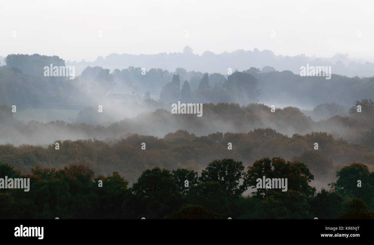 Autumn Mist Stock Photo