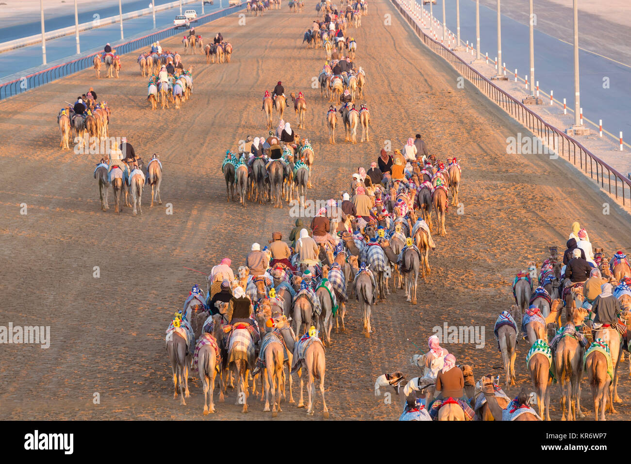 High angle view of people riding on camels with colourful saddles along ...
