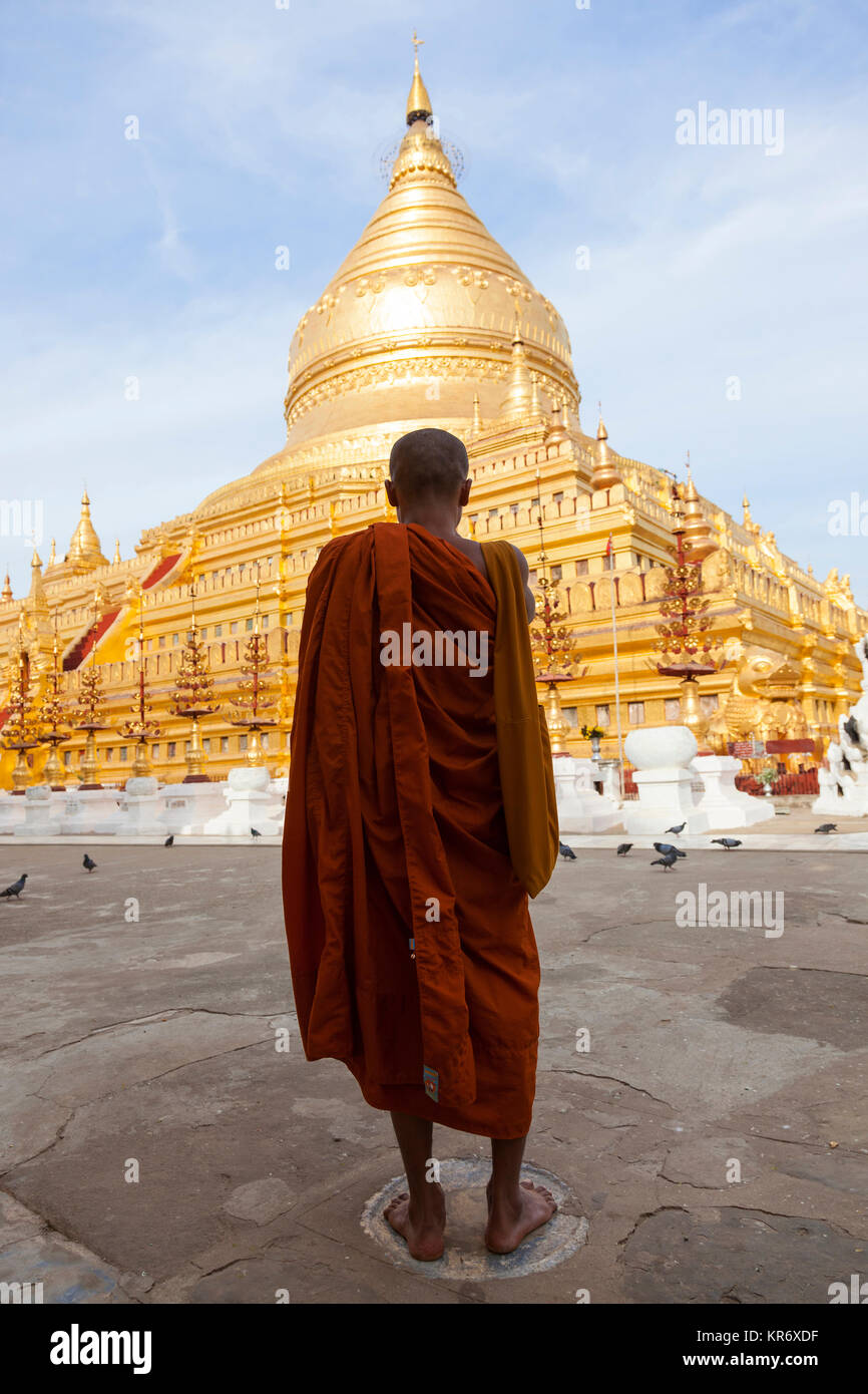 Rear view of monk wearing orange robe standing in front of golden ...
