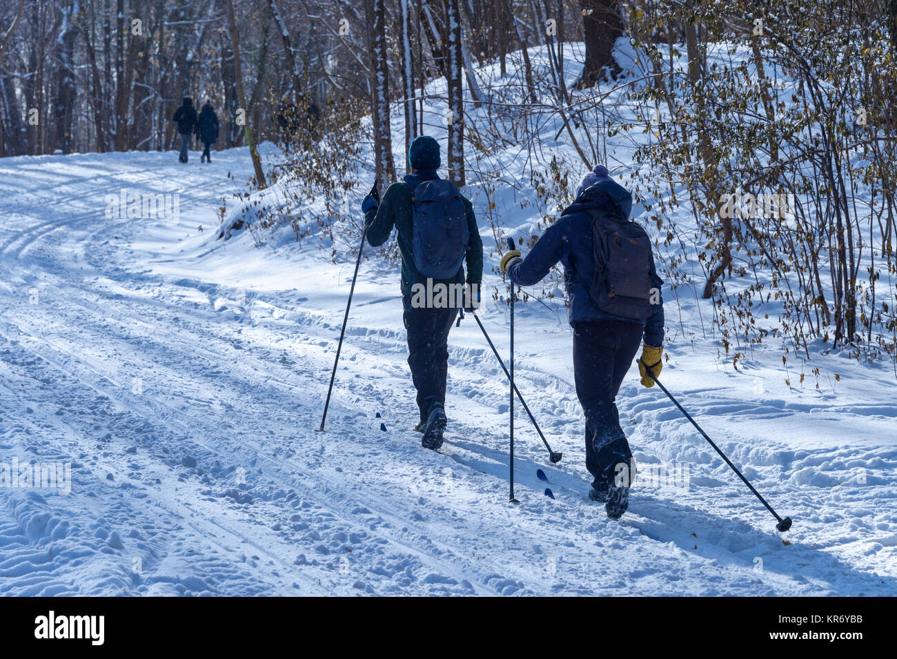 Montreal, CA - 17 December 2017: Cross country skiers in the Mont Royal Park in winter. Stock Photo