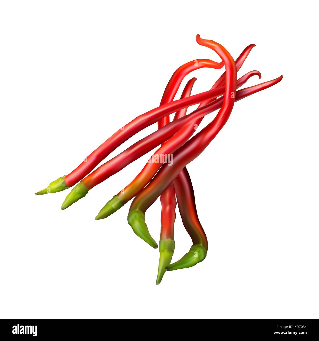 Realistic image of Mexican red hot chili pepper on white background Stock Vector