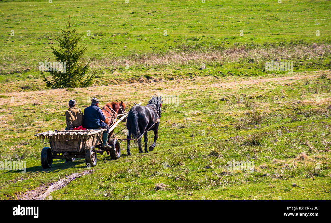 Pylypets, Ukraine - May 01, 2017: traffic in mountainous rural area in summer. wooden cart with two horses and two men ridge uphill the grassy slope Stock Photo