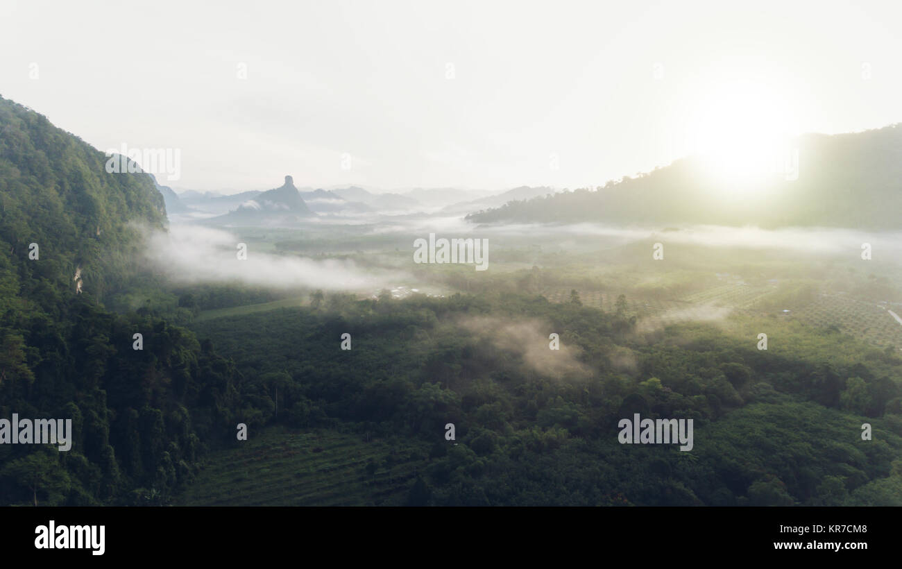 Aerial view of rain forest with mist and sunlight in the morning. Stock Photo