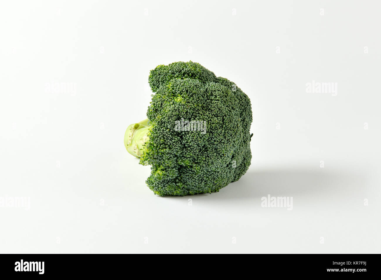 Fresh head of broccoli Stock Photo Alamy