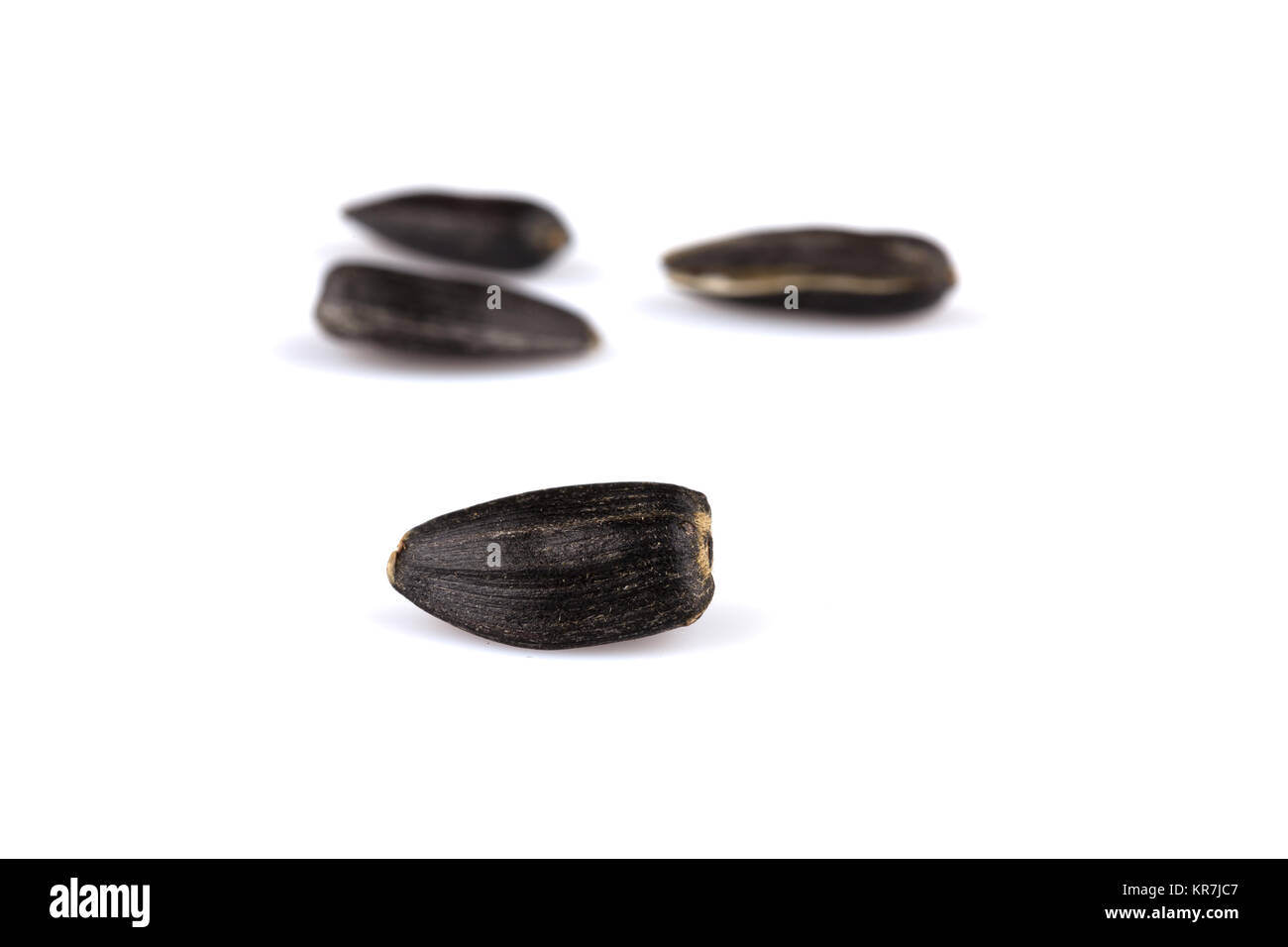 Heap of black sunflower seeds Stock Photo Alamy