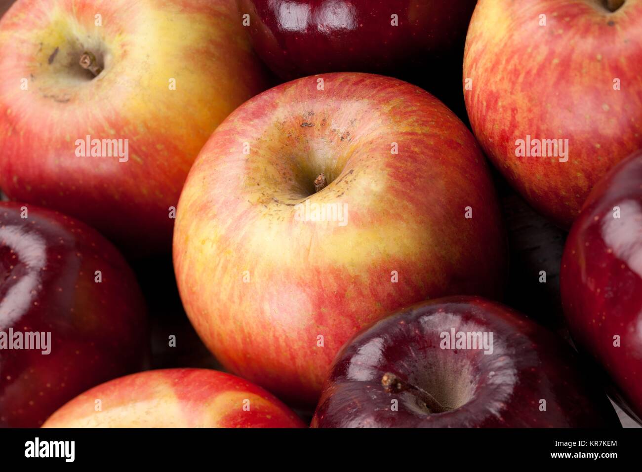 variety of red apples Stock Photo Alamy