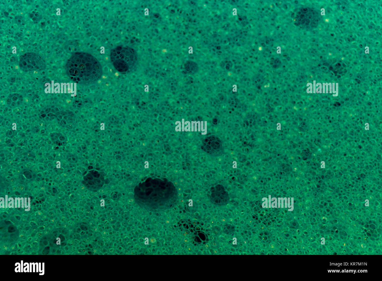 blue sponge bath macro shooting bubbles texture Stock Photo Alamy
