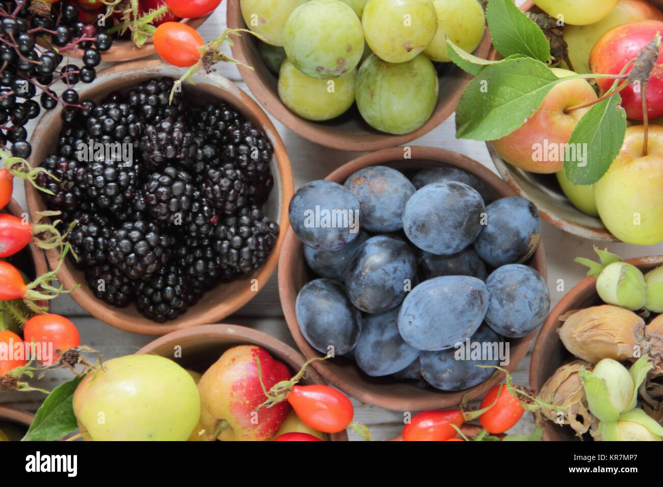 Autumn fruits, berries and nuts (blackberries, sloes, crabapples, cob