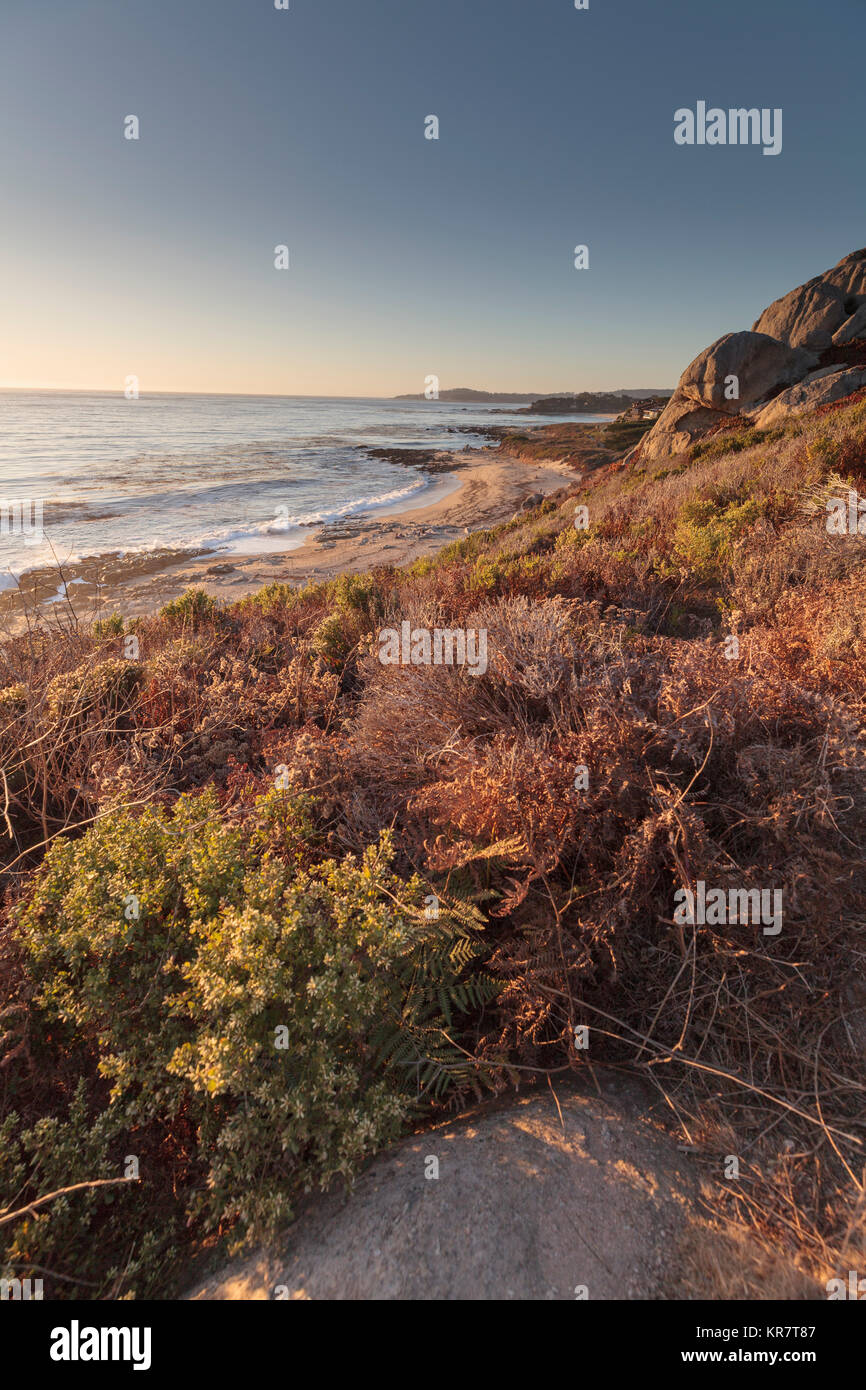 Beach at Carmel on Monterey Peninsula in California Stock Photo Alamy